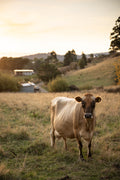 Farm Tour